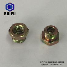 Oil plug